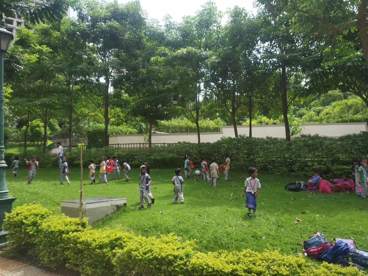 Image 15